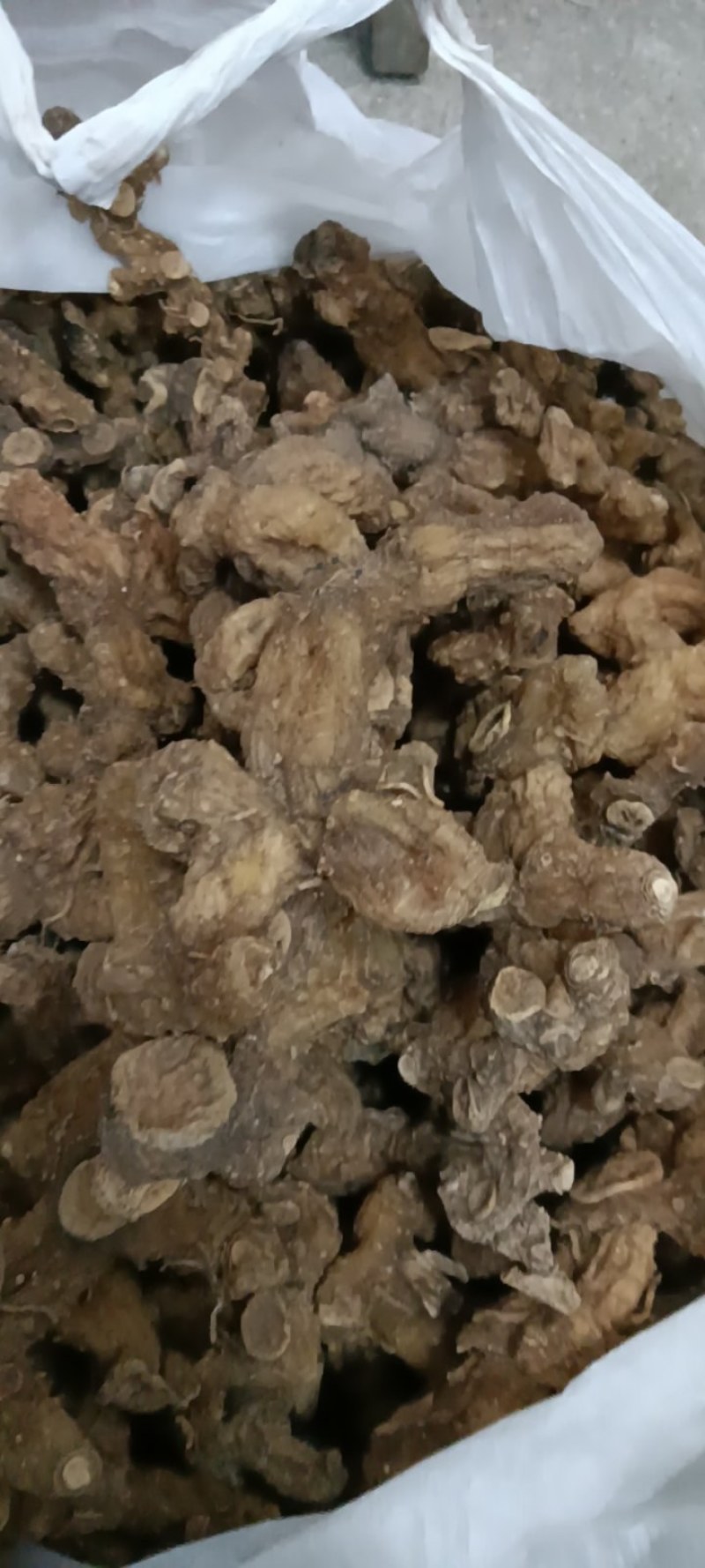 野生多花甜黄精