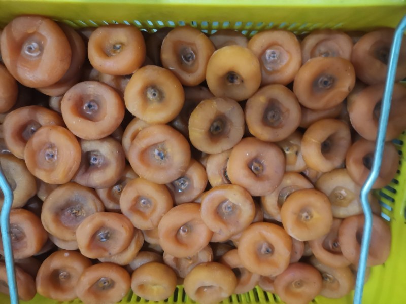 桂林柿饼