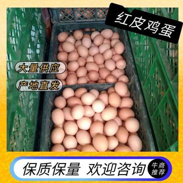 优选山东青岛市北区红皮鸡蛋厂家直发全国发货诚信经营