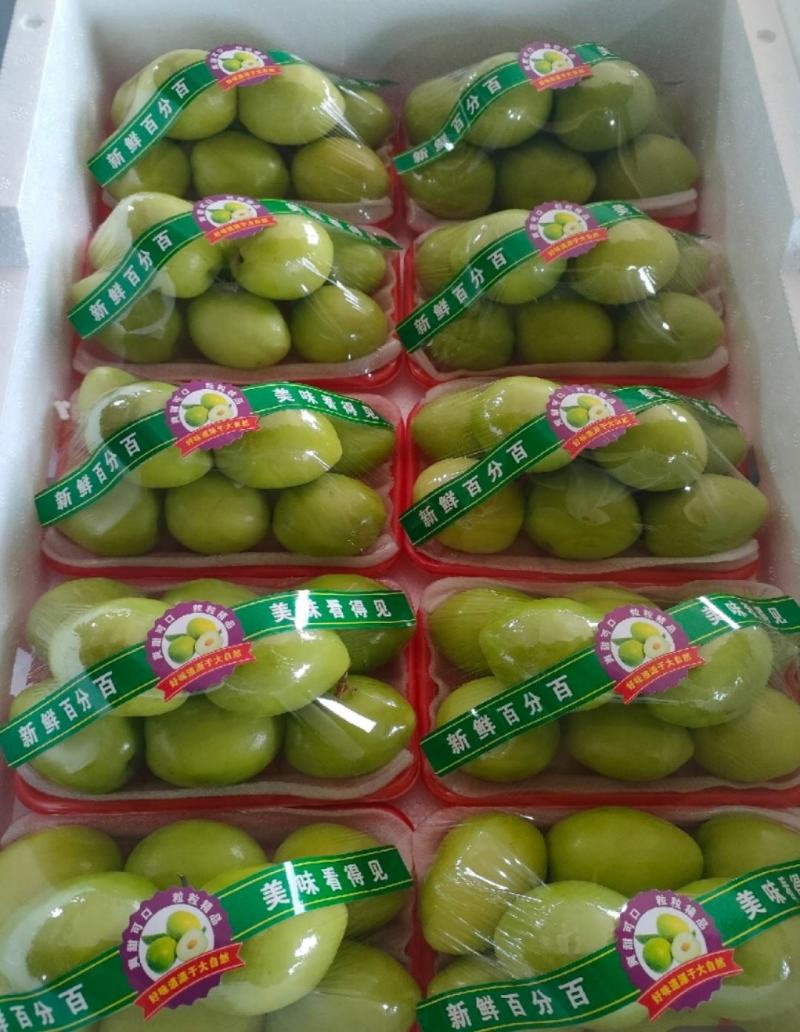 大青枣，密丝枣，牛奶枣电商货，市场，精品，保质保量发货