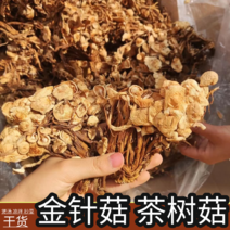 茶树菇干货茶树菇炖汤煲汤跑江湖地摊货源可实地