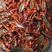 江苏泰州精品小龙虾，长期稳定供货，对接各级市场