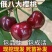 樱桃苗：俄罗斯8号樱桃苗，耐寒耐旱，口感及甜，，包活包品