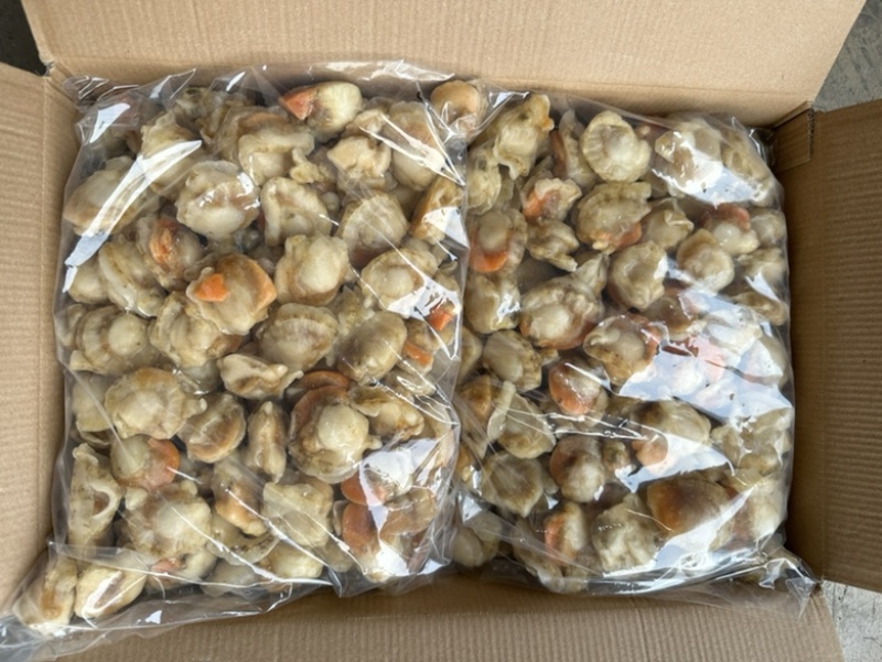 原汁去胃扇贝肉20/40，4.8公斤一件