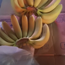 香蕉