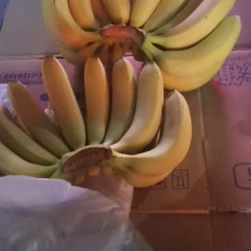 香蕉