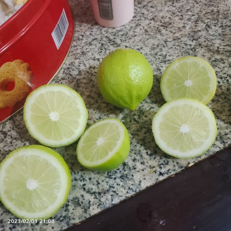 广东无籽香水柠檬苗嫁接苗地苗打泥球杯苗供应