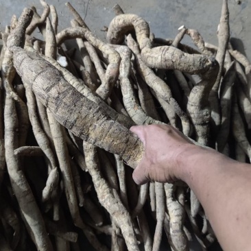 野生牛大力，深山里，自然产物，货源稀缺，正好需要的。