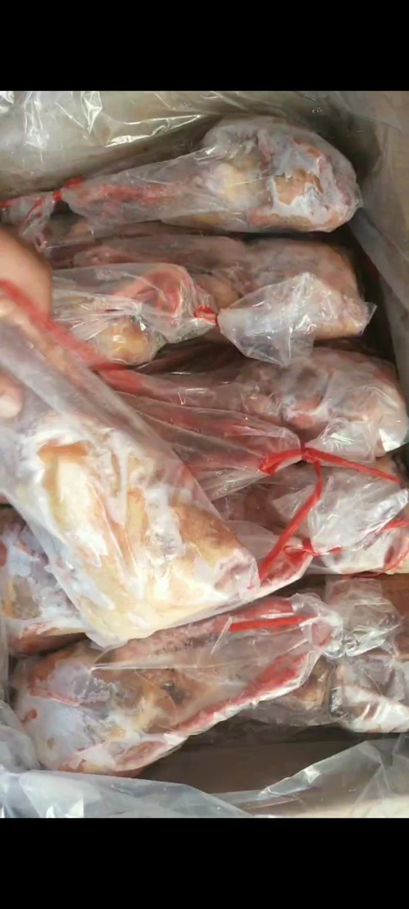 乳鸽白条鸽老鸽子工厂发货稳定供应欢迎咨询