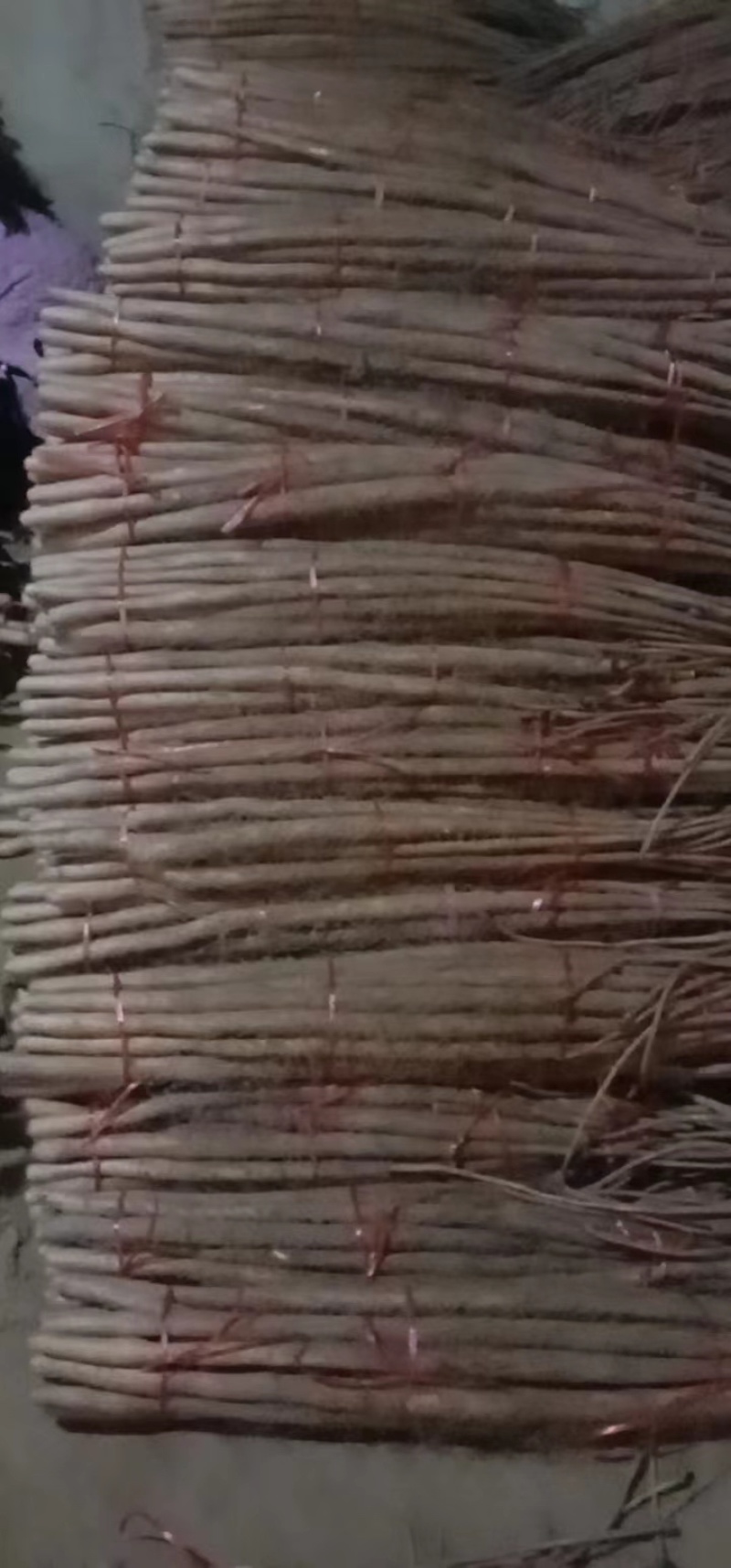 九斤黄山药，精品山药，产地直发量大从优欢迎致电