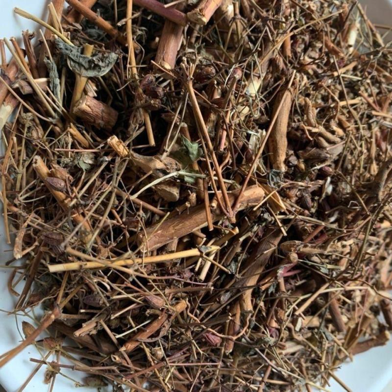 元宝草干货元宝草中药材欢迎选购！量大从优！