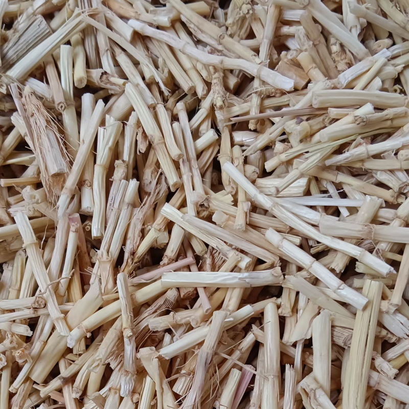 白茅根