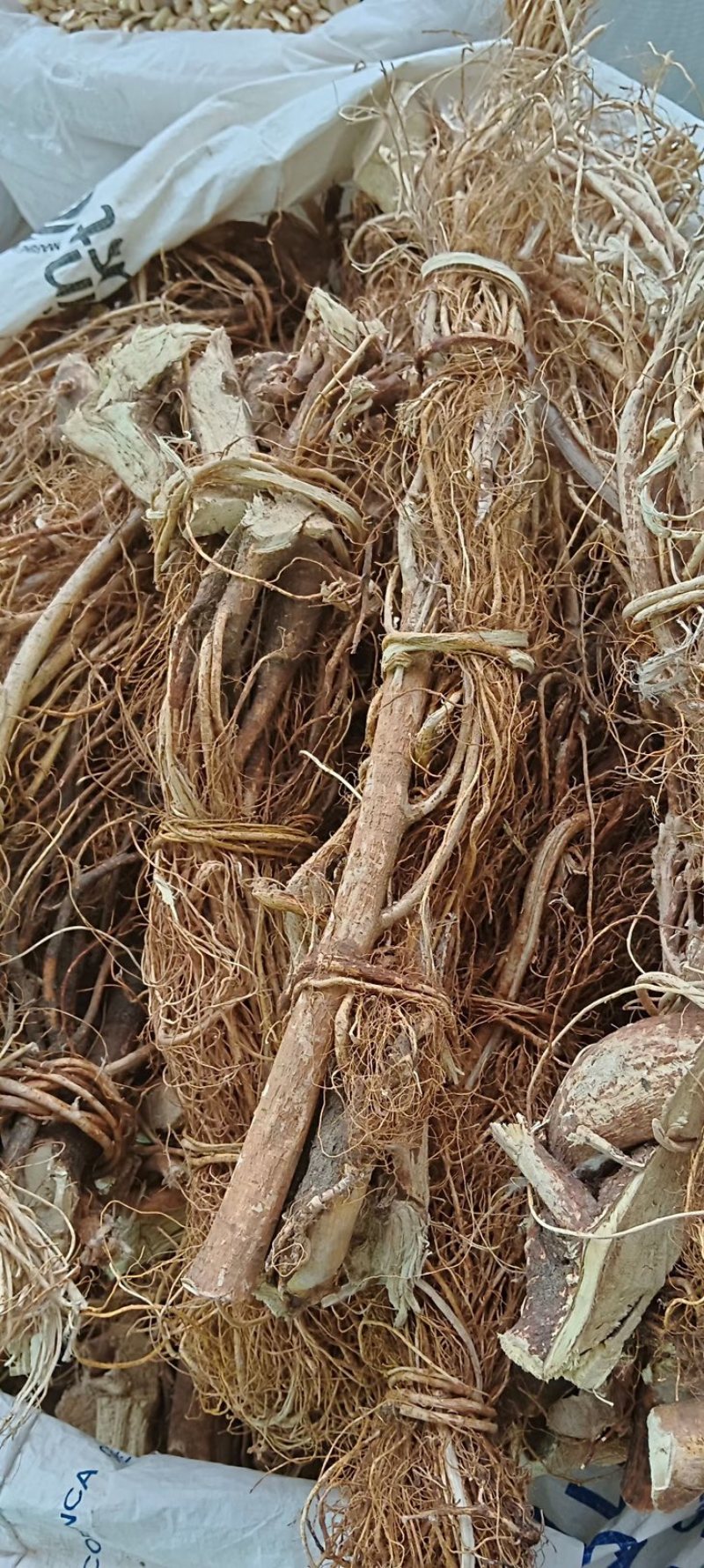 正宗五指毛桃厂家直销现货秒发新鲜美味