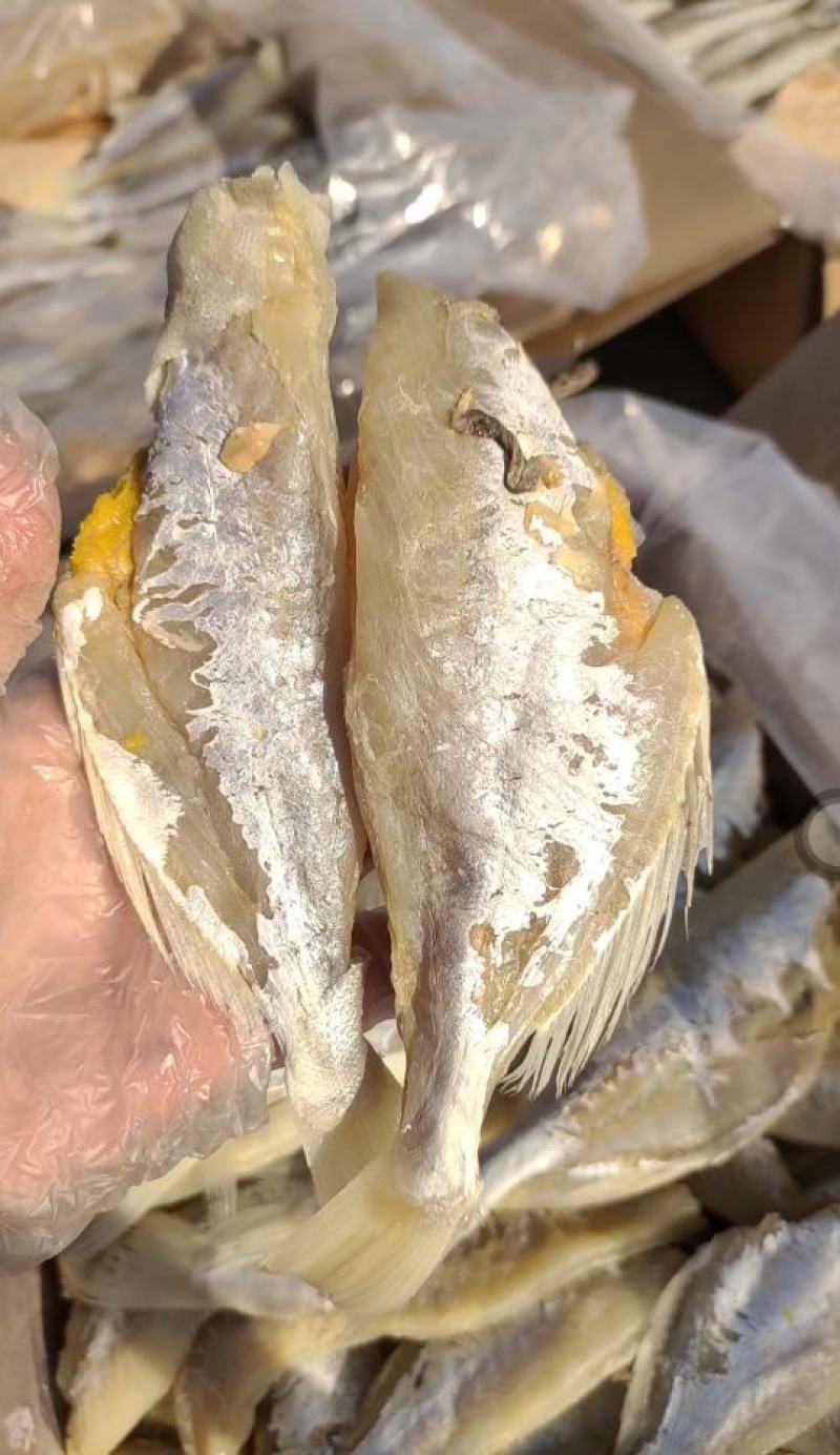 麦香鱼干去头去皮去内脏！腌制咸鱼干！大量现货供应