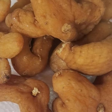 滇黄精熟个熟片，九蒸九制，干片干个