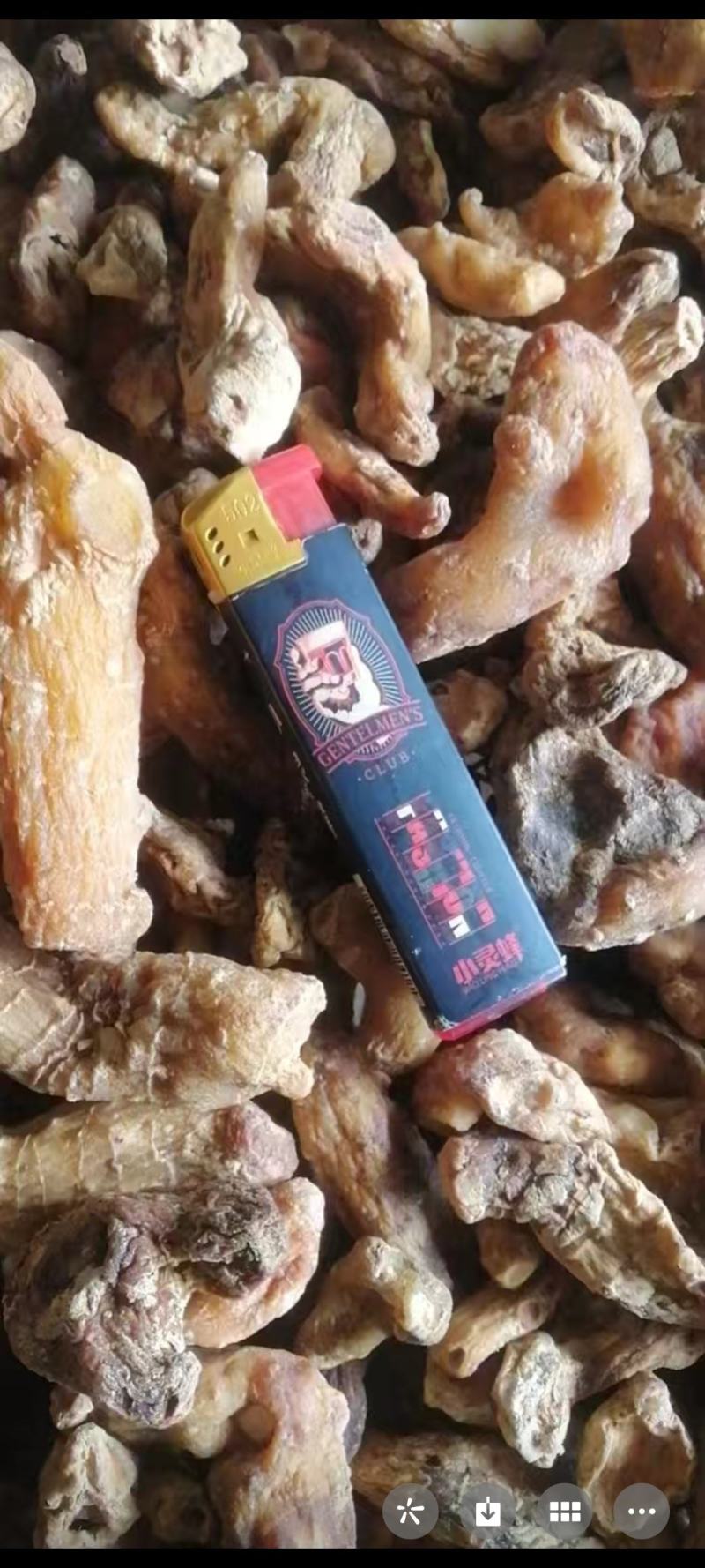 滇黄精熟个熟片，九蒸九制，干片干个