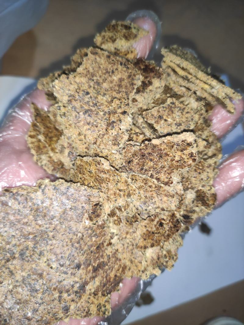 棉籽饼喂养用高蛋白厂家直发高营养鸡鸭鹅牛羊猪均可使用