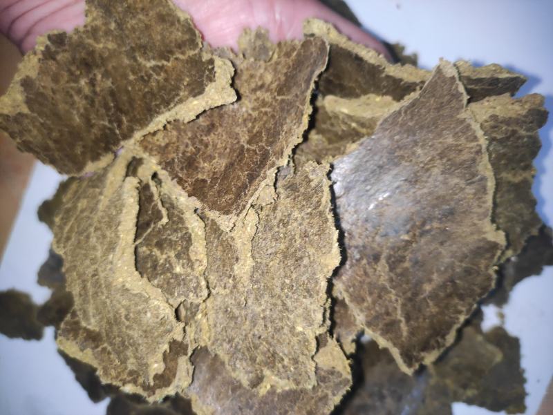 肥料棉籽饼上地用果树蔬菜蘑菇上地用护苗耐寒高有机质厂家
