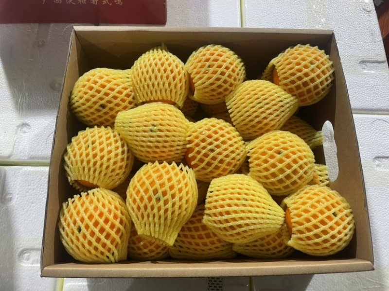广西武鸣沃柑，一件代发，整车批发，代办，产地一手货源