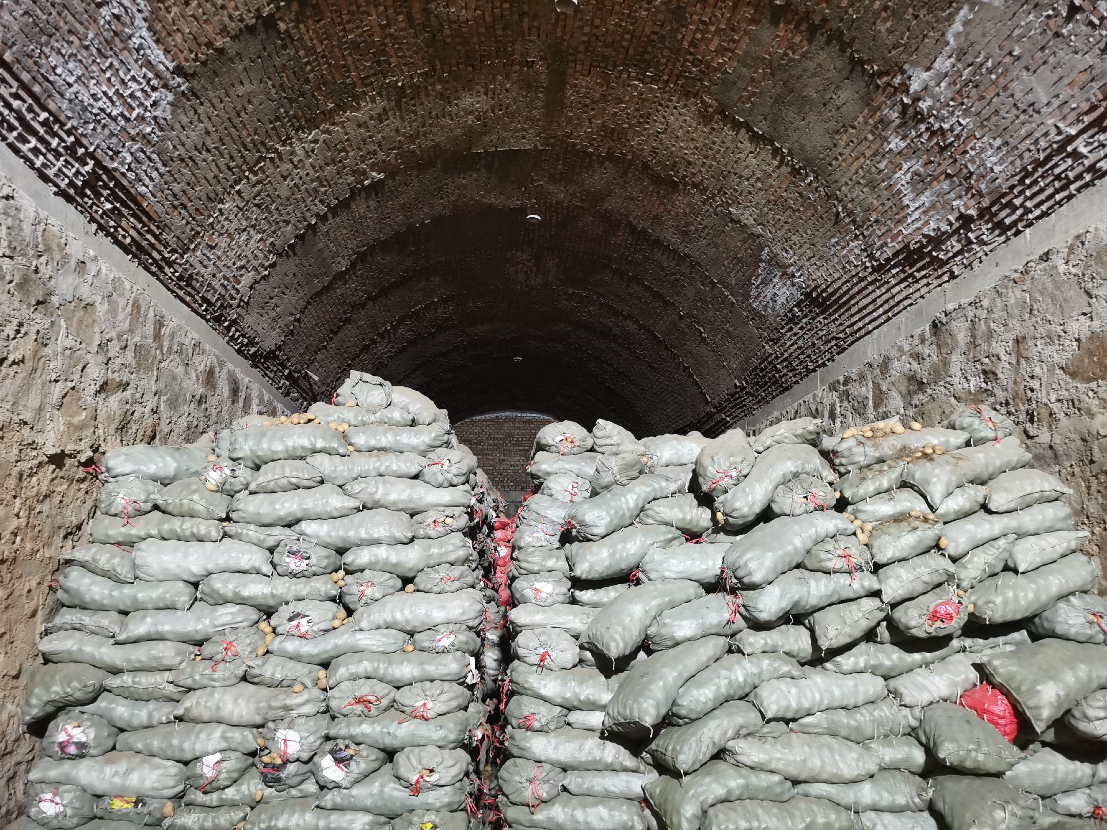 冬季储存土豆的方法