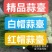 蒜薹红帽蒜臺红帽蒜苔可加工精品小把提供冷库