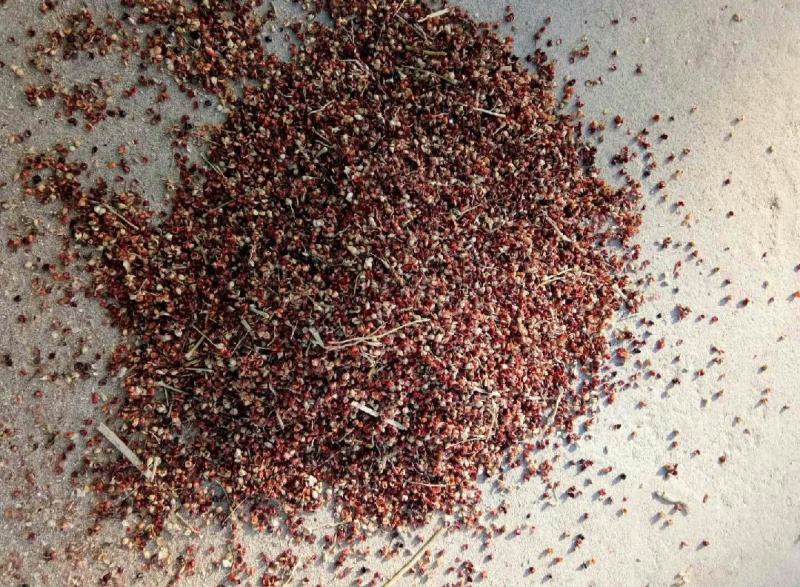 高粱壳枕芯坐垫填充物牛羊饲料
