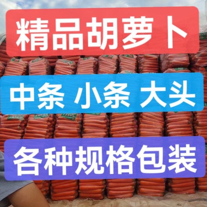 胡萝卜三红胡萝卜水洗土货中条小条大头各种包装都有