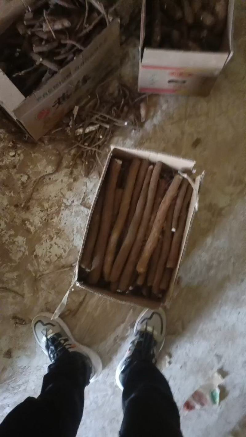 白玉山药，小白嘴，紫药，麻山药，铁棍，电商货！各类山药！