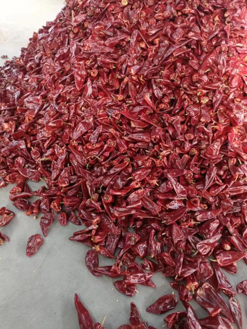 辣椒产地北京红干辣椒人工剪把干度好长期供应量大从优