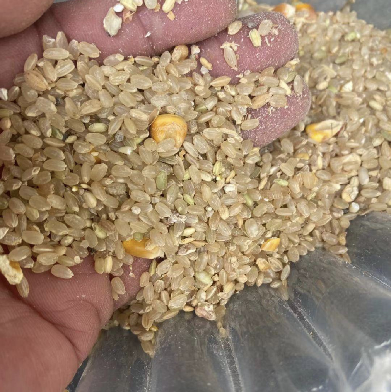 陈米碎大米