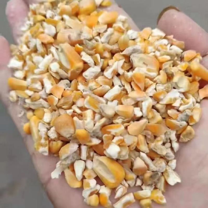 批发零售碎玉米玉米粒