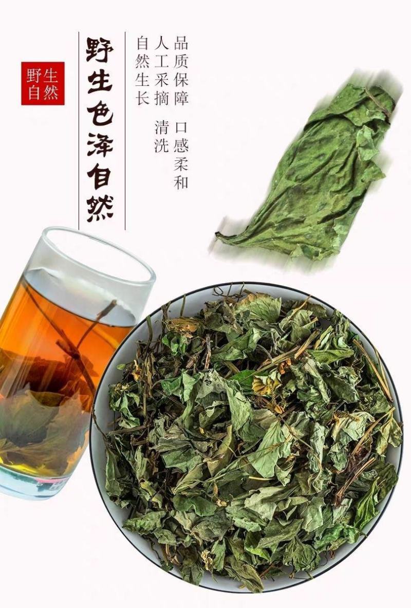 鱼腥草中药材野生鱼腥草干净无杂泡水泡茶干货包邮