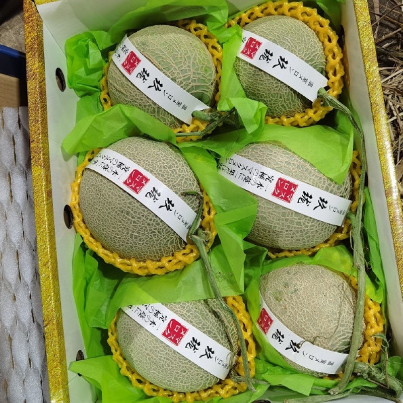 海南哈密瓜，玫珑哈密瓜，网纹哈密瓜