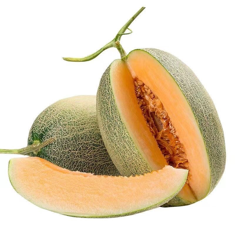 海南哈密瓜，玫珑哈密瓜，网纹哈密瓜