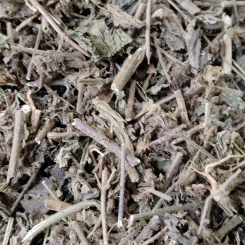 毛麝香草，毛老虎，香草，凉草