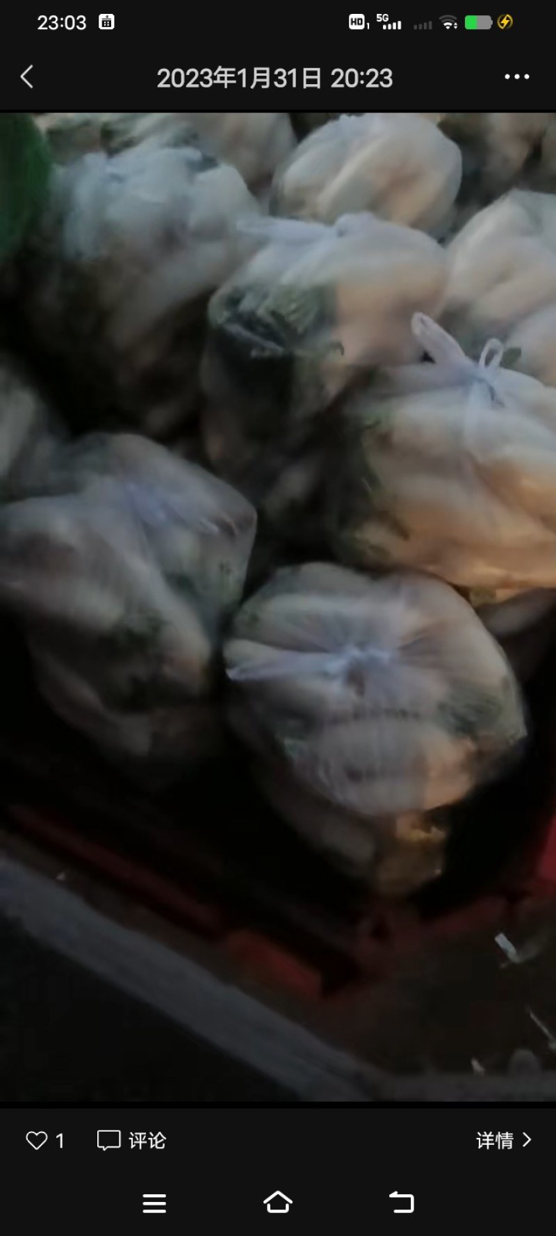 白萝卜