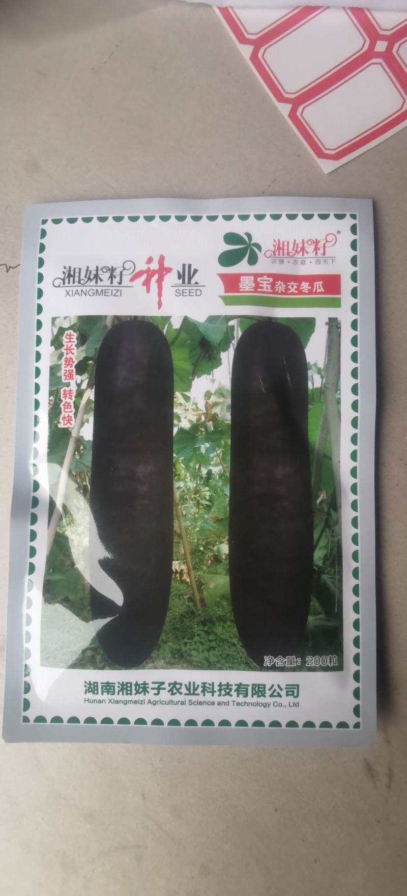黑皮冬瓜种子墨宝生长势强结瓜早产量高品质好