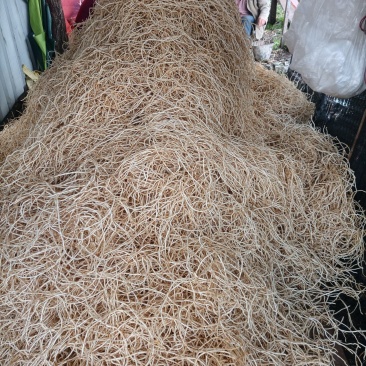 精品细根