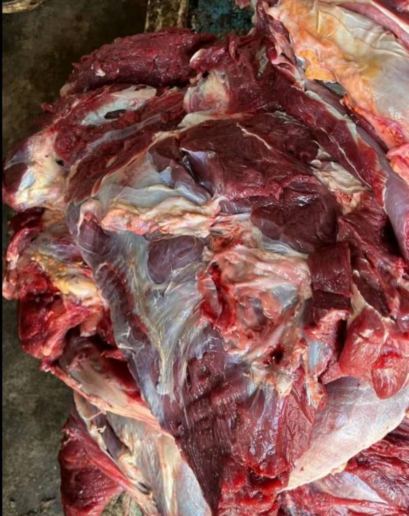 剔骨黄牛肉，纯干无水，大黄牛肉，鲜肉配送，常年供应，