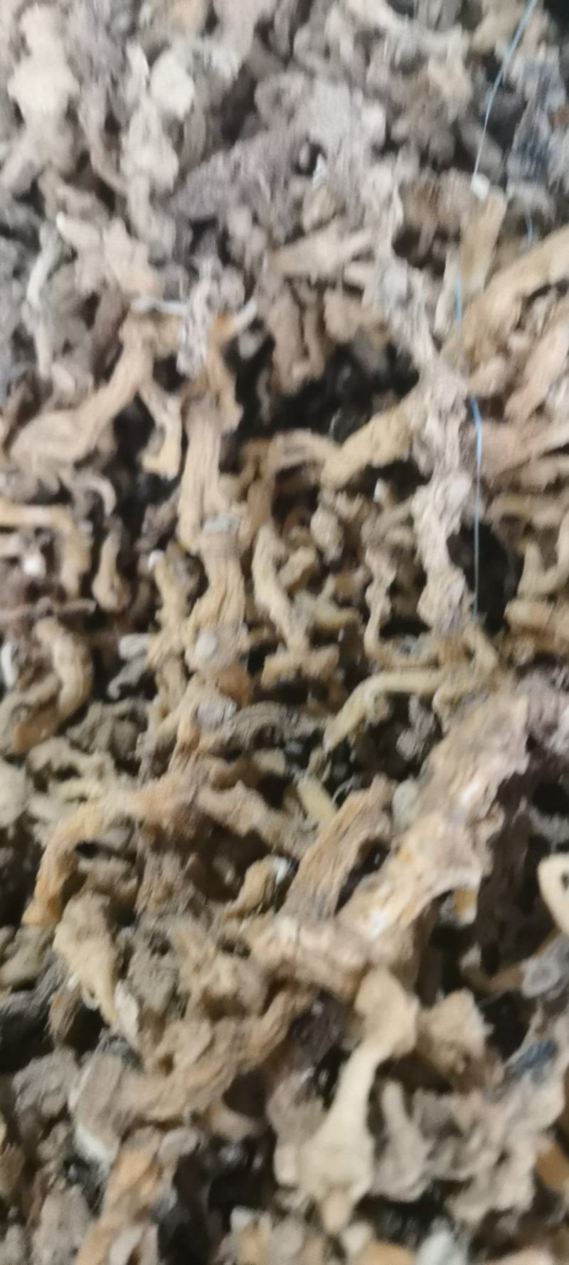 中药材