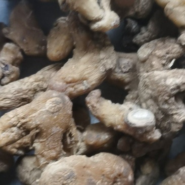 中药材