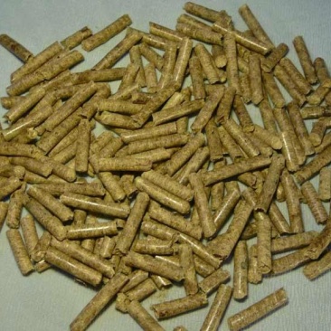 燃料颗粒