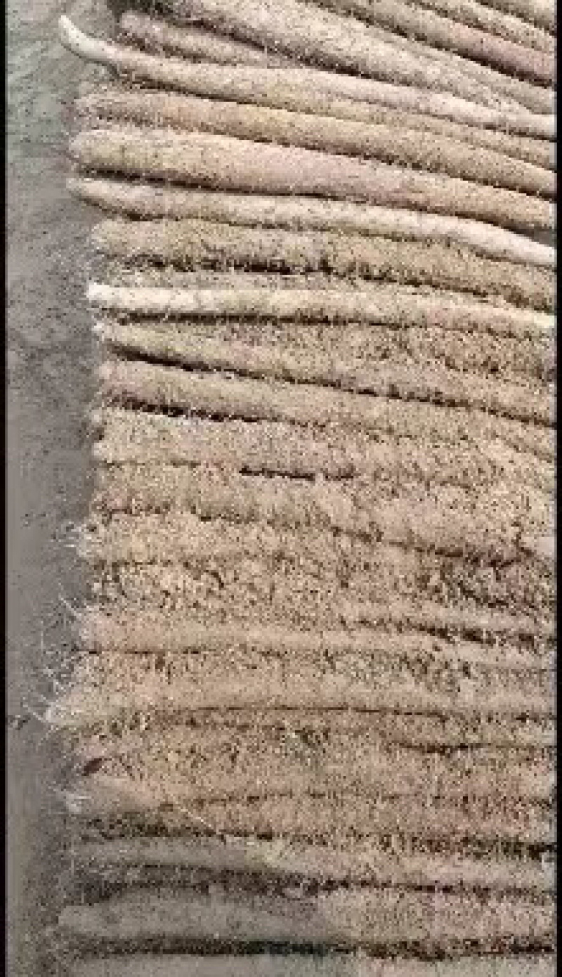 河北白玉山药大量有货规格齐全质量保证欢迎各位老板选购