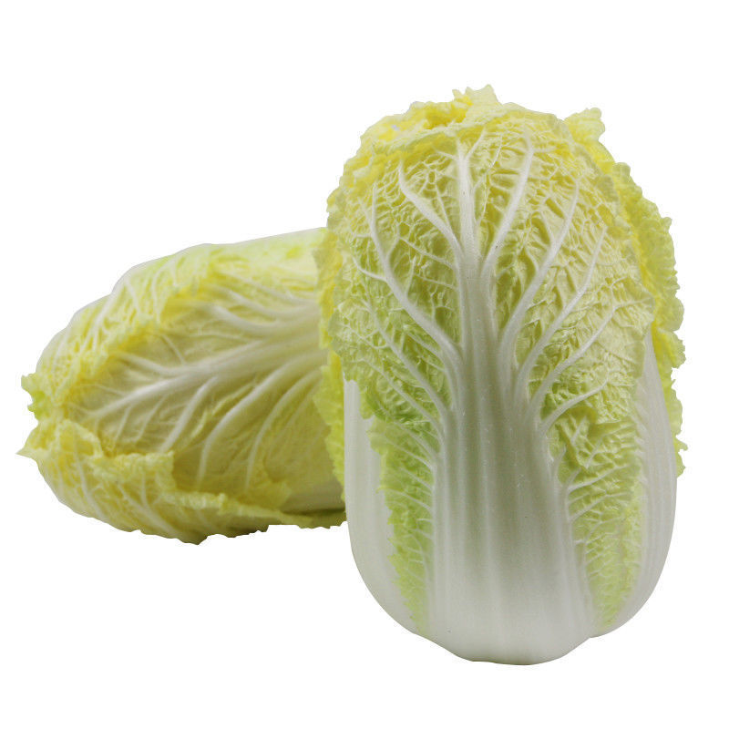 黄心白菜苗小白菜苗青杂三号白菜苗免费技术指导包回收