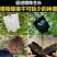植物高压繁殖盒果树花木扦插嫁接家用高空压条生根育苗神器