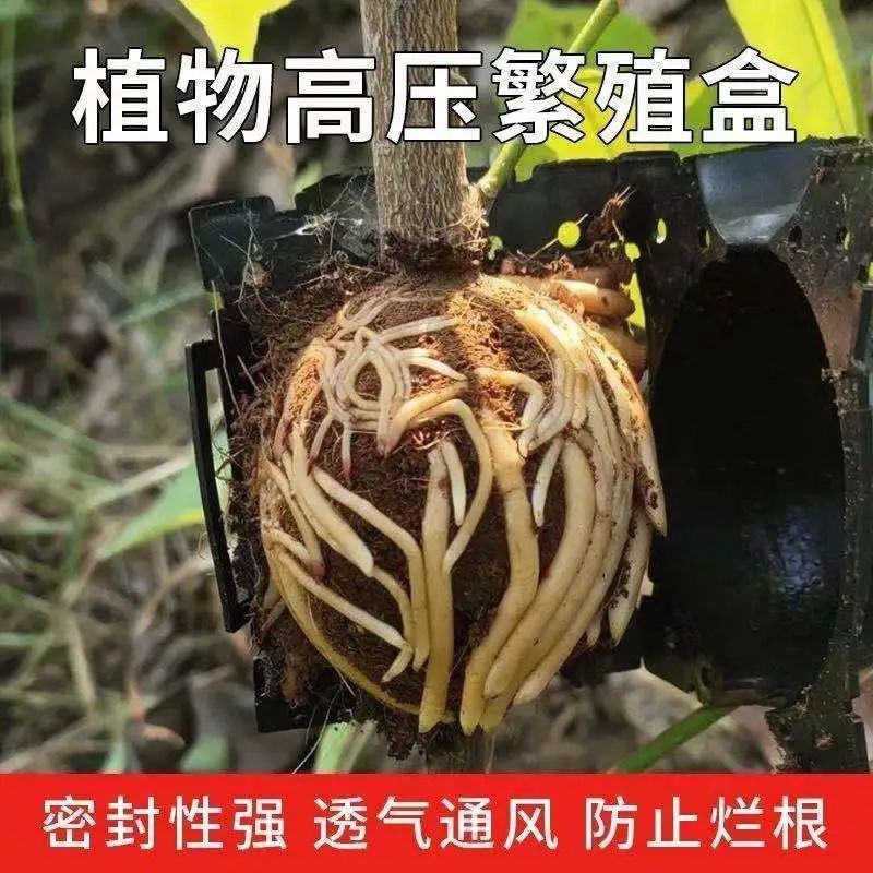植物高压繁殖盒果树花木扦插嫁接家用高空压条生根育苗神器
