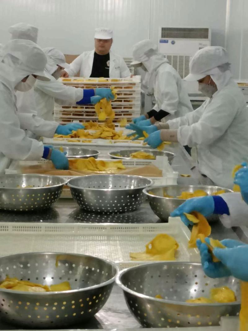 芒果蜜饯一手货源直供