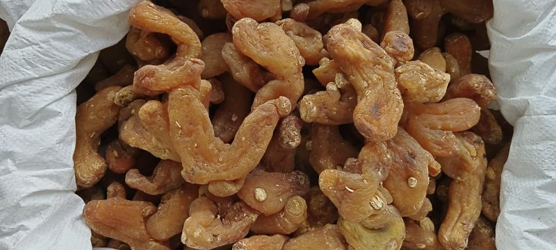 黄精，中药材鸡头黄精