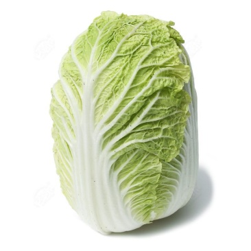 义和秋白菜苗东京868号苗玲珑黄白菜苗免费技术指导包回收
