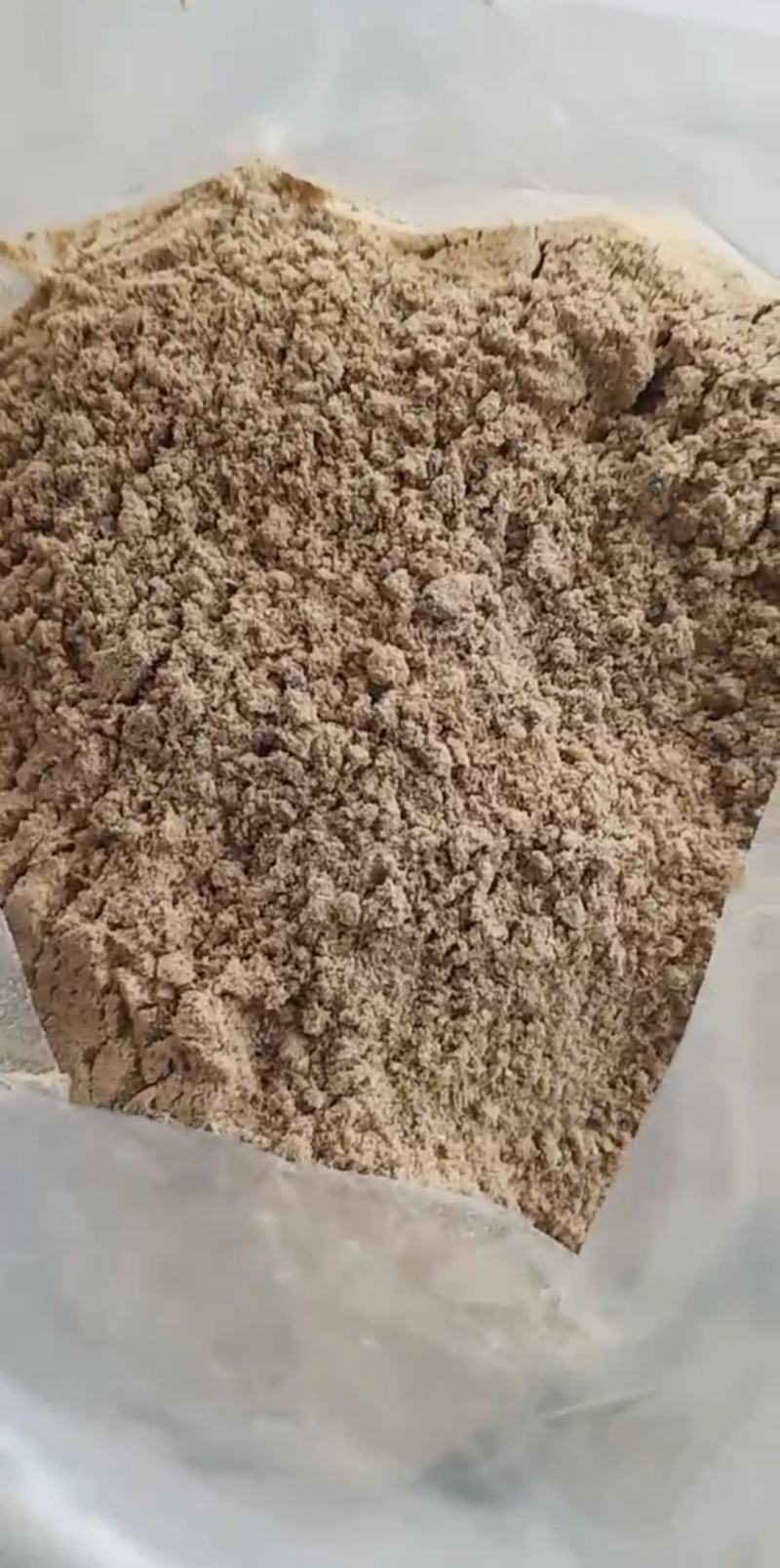 屎壳郎，中药材屎壳郎，量大从优，一手货源